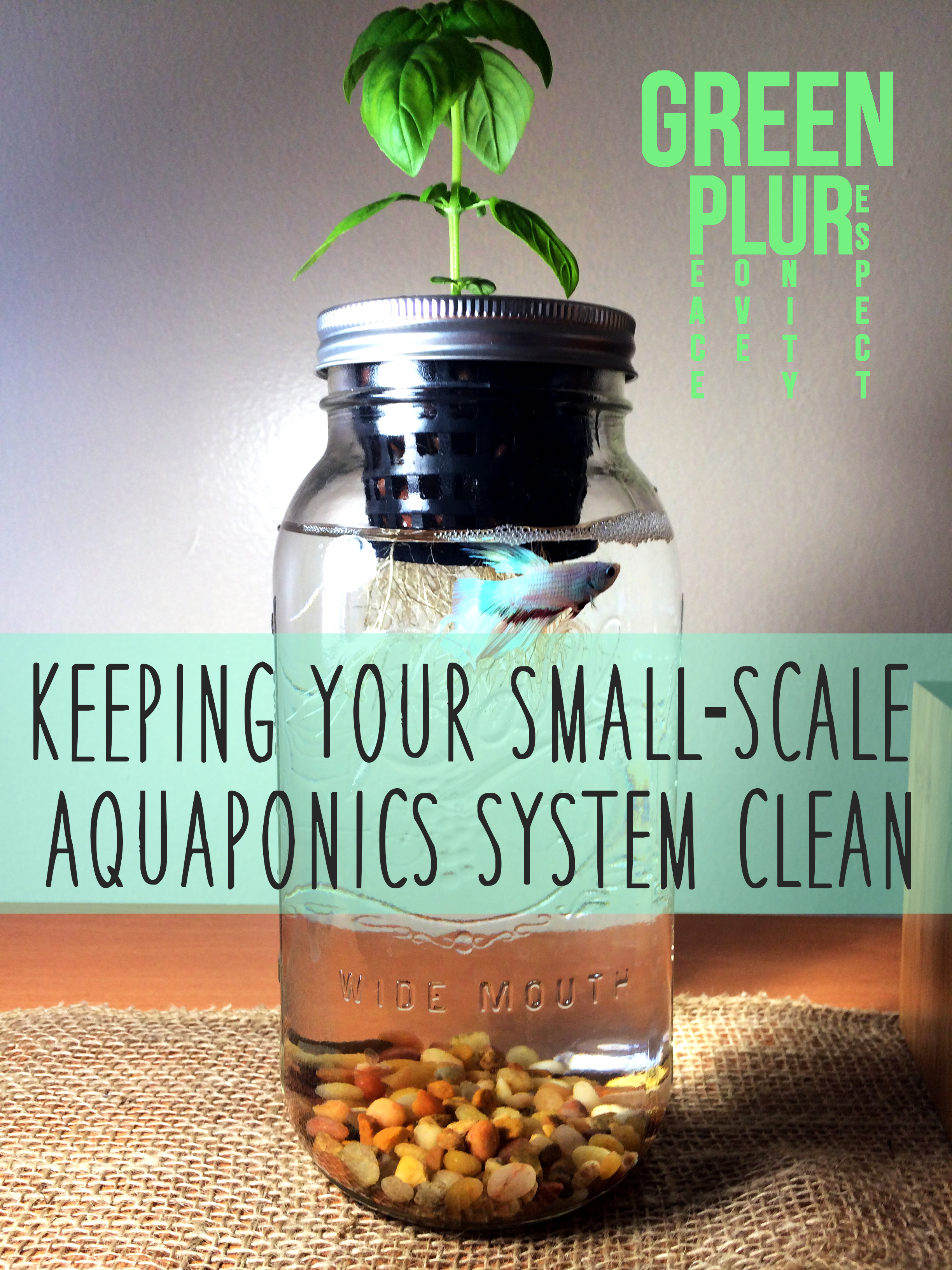 simple, and maybe even pump-free system, like my Mason Jar Aquaponics 